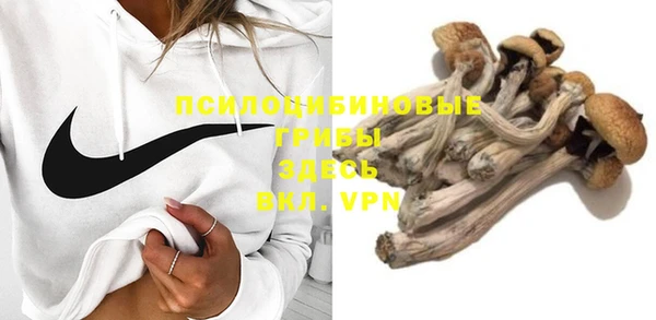 MDMA Богородицк