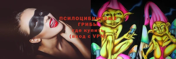 MDMA Богородицк