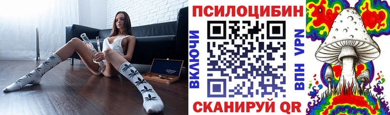 даркнет наркотические препараты  Киреевск  Галлюциногенные грибы MAGIC MUSHROOMS  kraken как зайти 